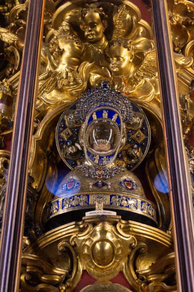 the beard of Saint Anthony